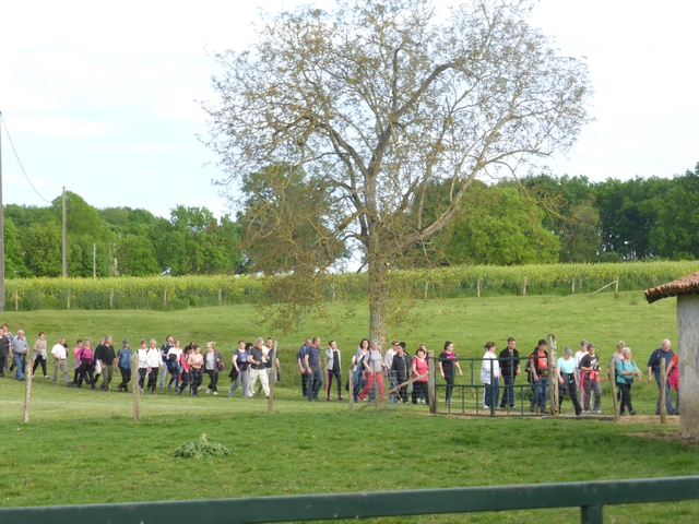 marche de brion mai 2016 120