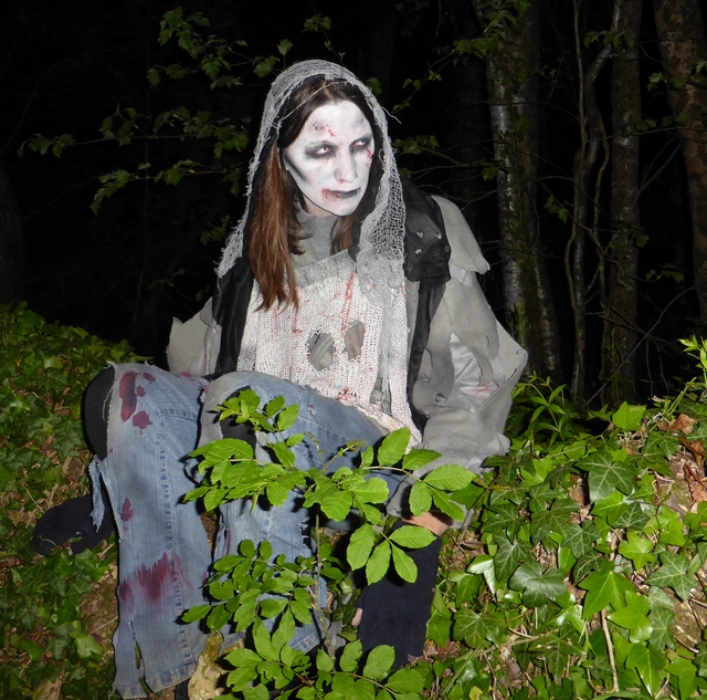 marche de brion mai 2016 240